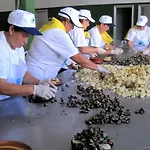 Πανσιόν Teyma 3*